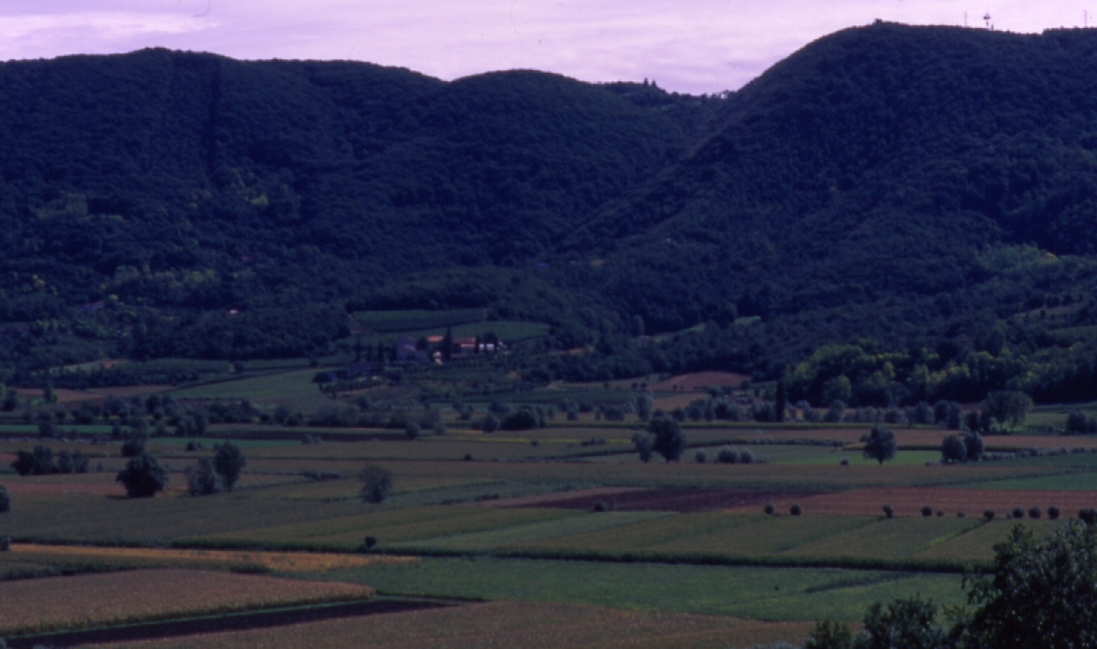 palù